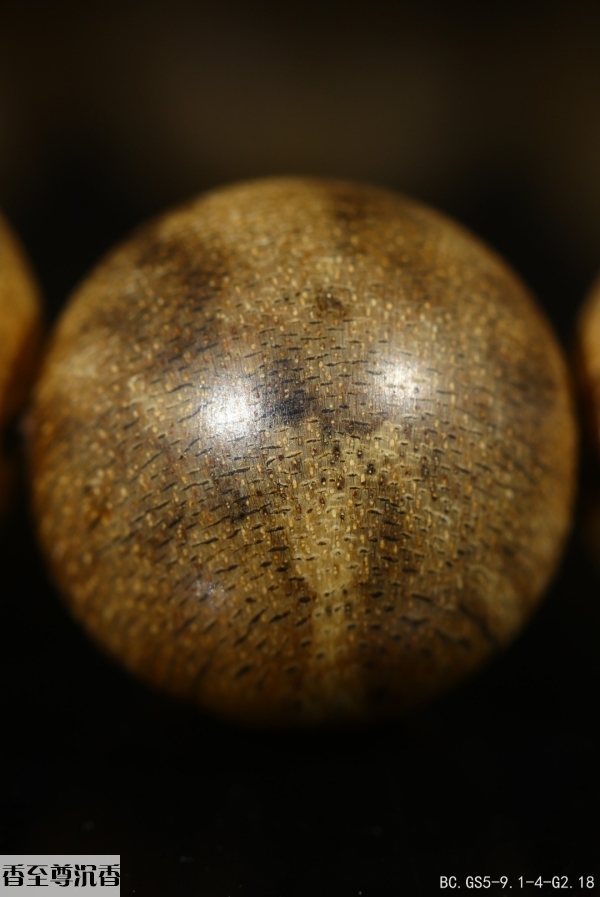 13402655861860101.jpg