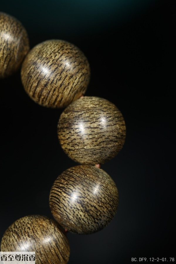 13403264804098272.jpg
