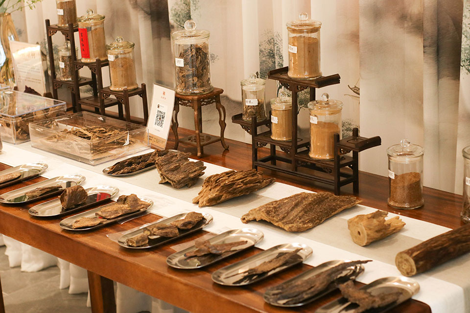 香至尊沉香香友见面会——上海虹桥站